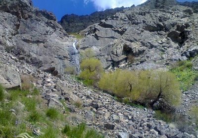سنقر-آبشار-پریشان-71009