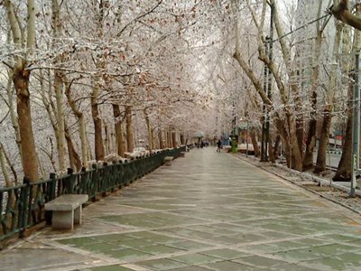 تهران-پارک-ساعی-تهران-74830