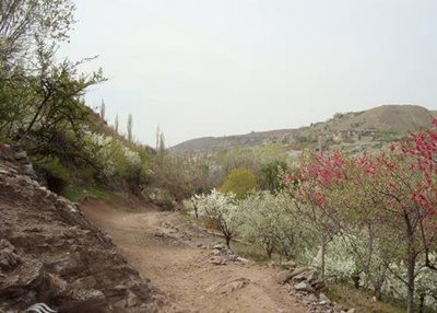 خرو-آبشار-رودمیان-74926