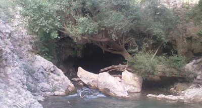 مارگون-آبشار-شهنیز-77069