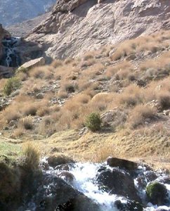 راور-آبشار-فیض-آباد-77647