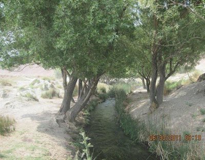 هرات-پارک-سرچشمه-نهر-مسیح-78224