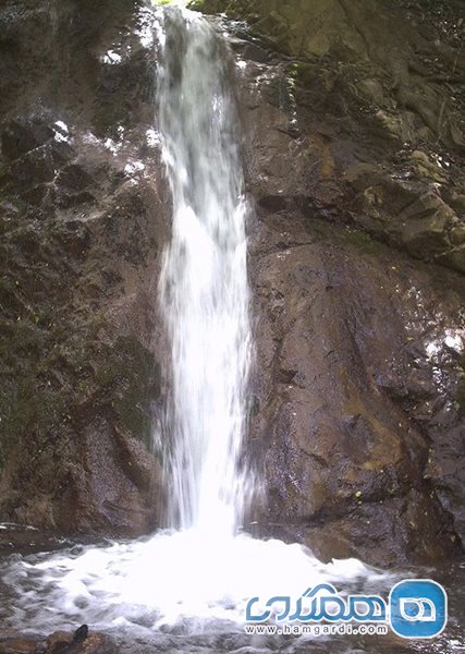آبشار نوک پشت