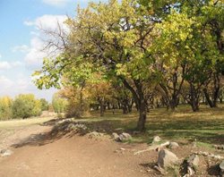 روستای شالقون