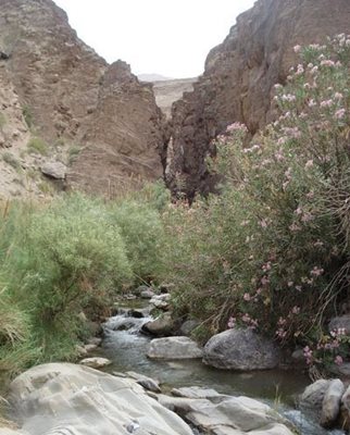 کرمان-آبشارهای-دره-سختی-80360