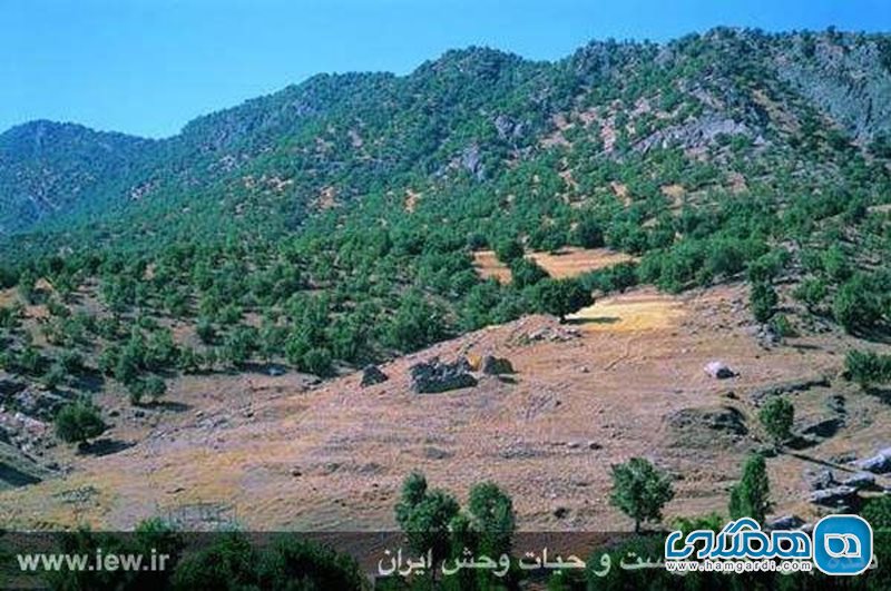 منطقه حفاظت شده سبزکوه