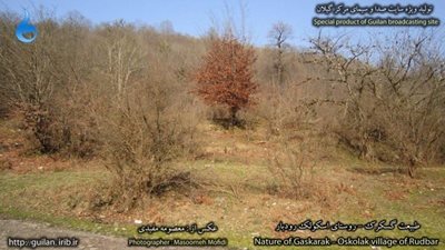 رودبار-روستای-اسکولک-83178