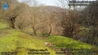 رودبار-روستای-اسکولک-83173