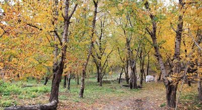 طرقبه-روستای-ازغد-83405