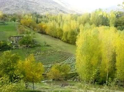 سردشت-روستای-بیوران-سفلی-83459