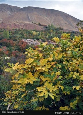 نیشابور-روستای-بوژان-83976