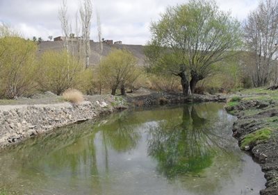 روستای بلاش آباد