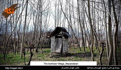 سواد-کوه-روستای-بورخانی-84234