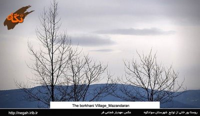 سواد-کوه-روستای-بورخانی-84240