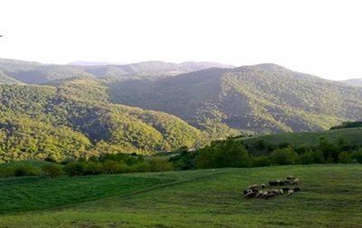 نکا-روستای-سوچلما-84894