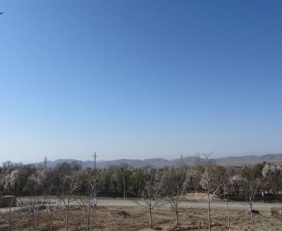 شیراز-روستای-مظفرآباد-84958