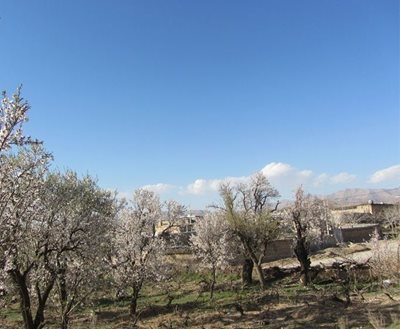 شیراز-روستای-مظفرآباد-84959