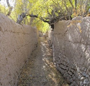 مهریز-روستای-طزنج-85278