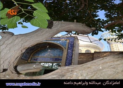 دامنه-بقعه-امامزادگان-عبدالله-و-ابراهیم-85454