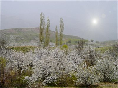 قزوین-روستای-زناسوج-86320