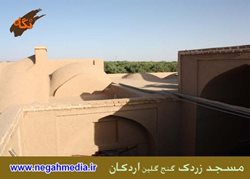 مسجد زردک اردکان (گنج گلین)