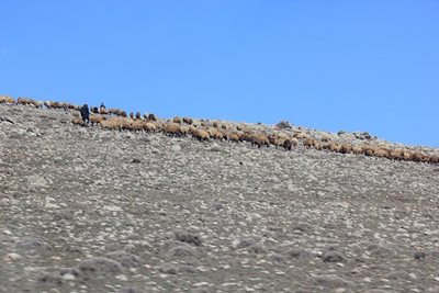 میانه-روستای-خاتون-آباد-88469