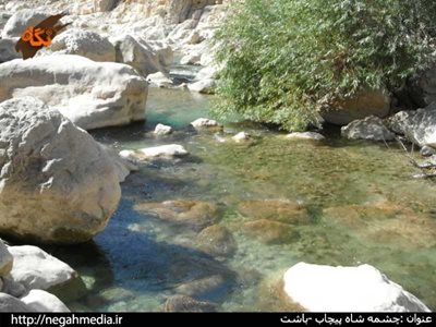 باشت-چشمه-شاه-پیچاب-89291