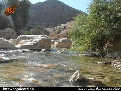 چشمه شاه پیچاب
