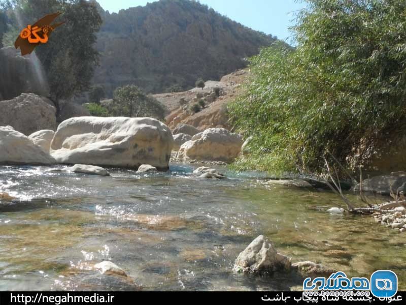 چشمه شاه پیچاب