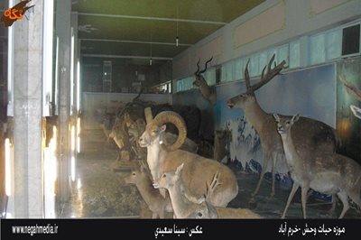 خرم-آباد-موزه-حیات-وحش-لرستان-92454