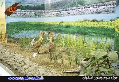 اصفهان-موزه-علوم-و-فنون-92837