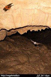 غار کیلر
