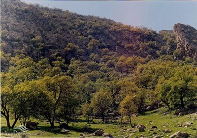 گچساران-دوگنبدان-منطقه-حفاظت-شده-کوه-دیل-97417