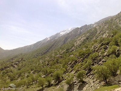 گچساران-دوگنبدان-منطقه-حفاظت-شده-کوه-خامین-97479