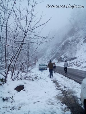 علی-آباد-کتول-جنگل-توسکستان-98497