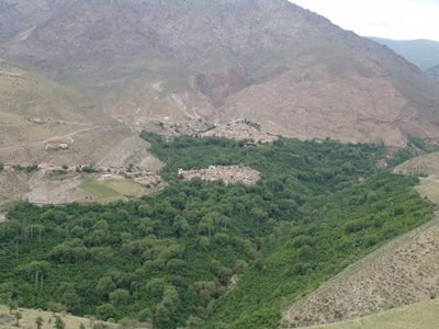 لوشان-روستای-انبوه-100490