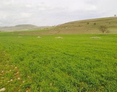 بناب-روستای-تاریخی-صور-102765