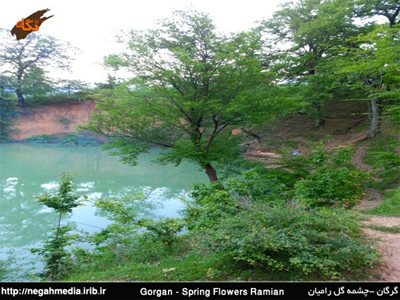 رامیان-چشمه-گل-رامیان-103441
