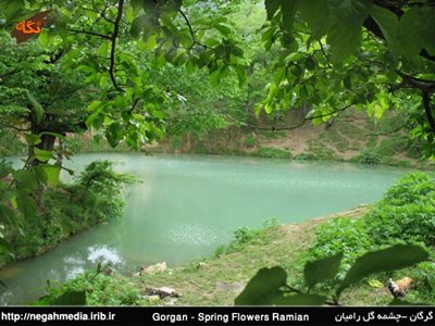رامیان-چشمه-گل-رامیان-103443