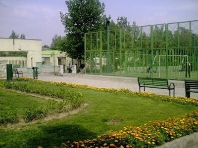 تهران-بوستان-رازی-103551