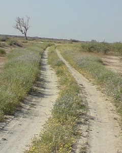 بندر-دیر-منطقه-حفاظت-شده-مند-106549