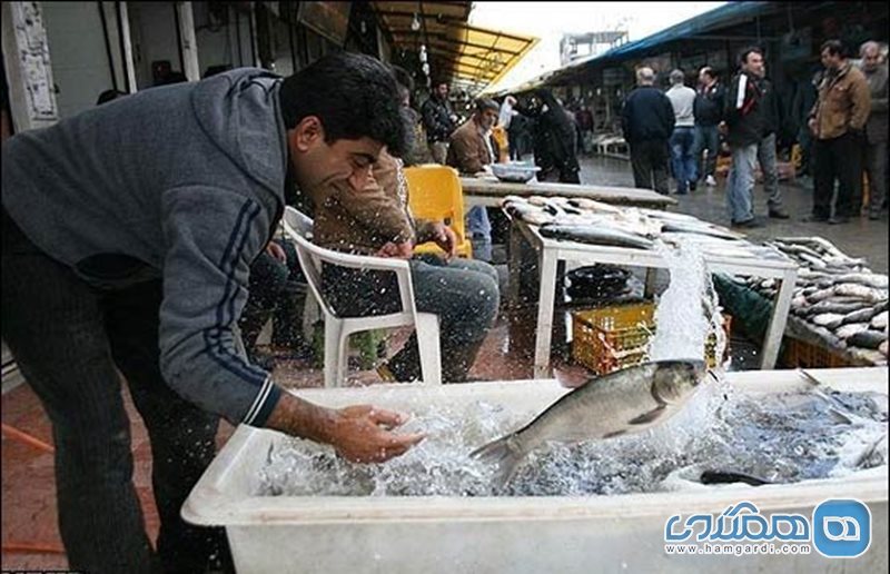 بازار بزرگ ماهی فروشان ساری
