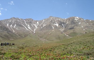 خوانسار-منطقه-حفاظت-شده-گلستان-کوه-106996