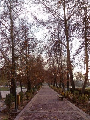 تهران-پارک-پلیس-107203