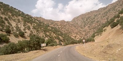 شیراز-پارک-ملی-بمو-107349