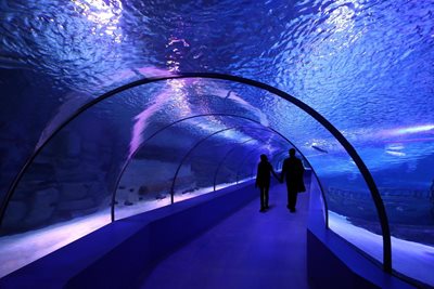 آنتالیا-آکواریوم-آنتالیا-Antalya-Aquarium-113709
