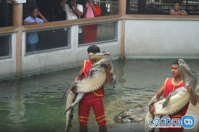 مزرعه تمساح ها Samutprakarn Crocodile Farm and Zoo