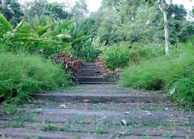 کوالالامپور-باغ-دریاچه-کوالالامپور-Perdana-Botanical-Gardens-116494