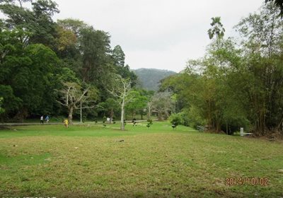 پینانگ-باغ-گیاه-شناسی-پنانگ-Penang-Botanic-Garden-117953