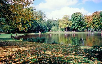 آمستردام-پارک-وندل-vondelpark-118594